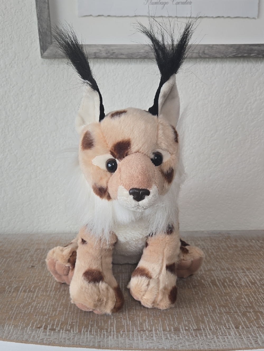 Lynx Bobcat Plush